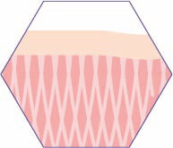 C-Skin-phase-4